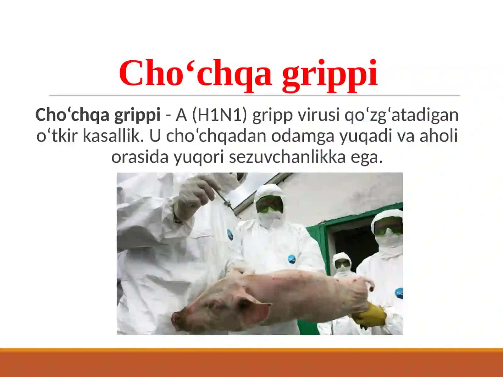 Cho’chqa grippi va uning xozirgi kundagi Taqdimot tibbiyot muammolari 2
