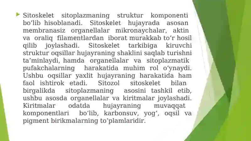 HUJAYRA SITOSKELETINING STRUKTURAVIY VA FUNKSIONAL TASHKIL ETILISHI 2