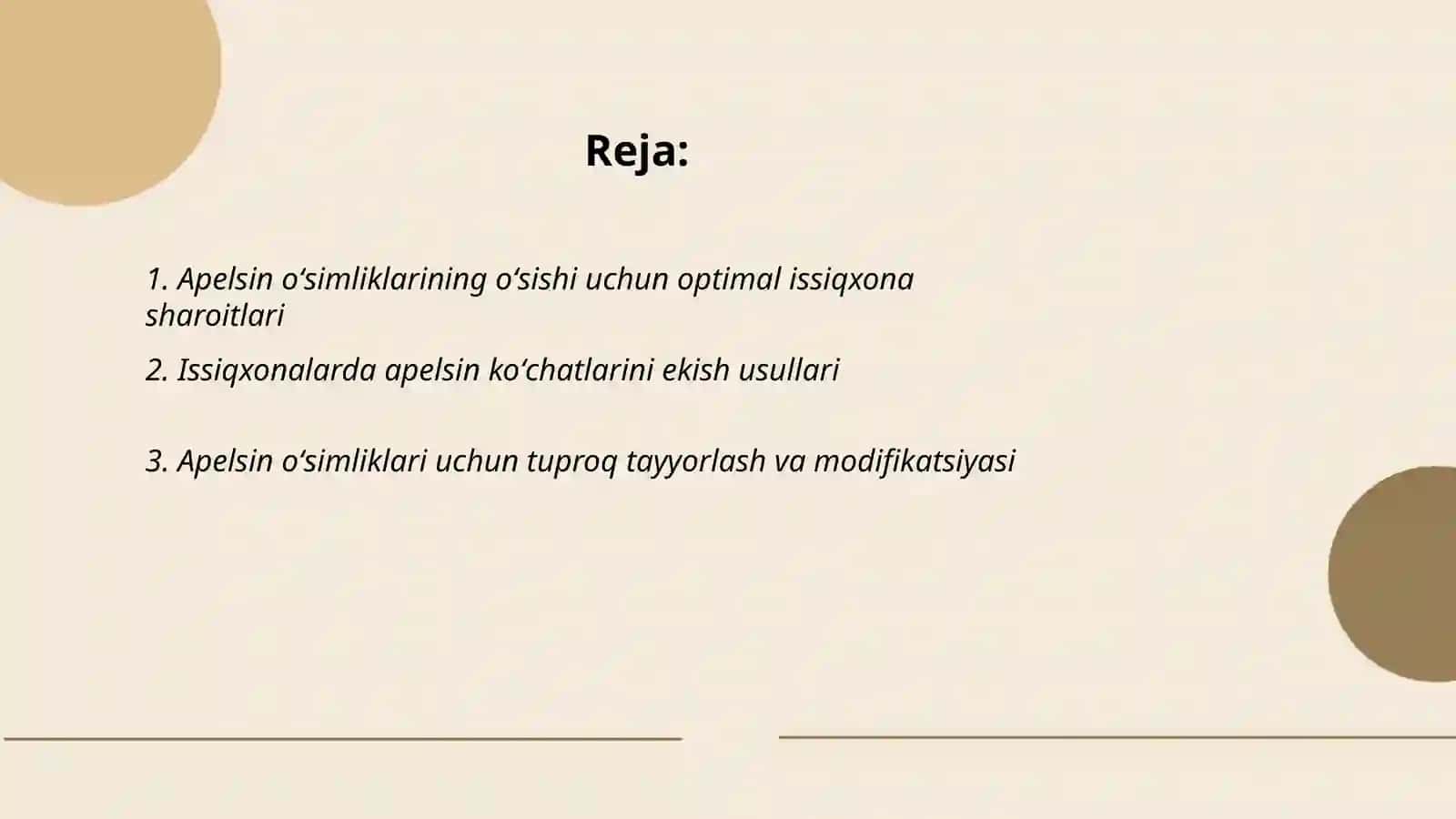 Apelsin oʻsimliklari parvarishlash 2