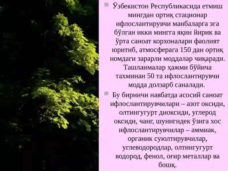 Ифлосланишни бошқариш иқтисодиёти 2
