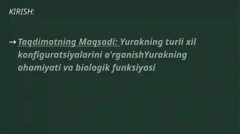 Yurakning turli konfiguratsiyalari 2