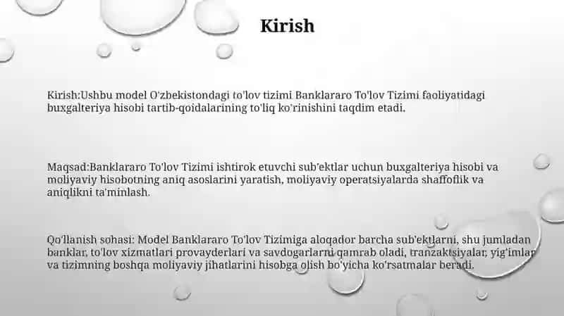 Banklararo To'Lov Tizimi Faoliyat Yuritishning Buxgalteriya Modeli 2