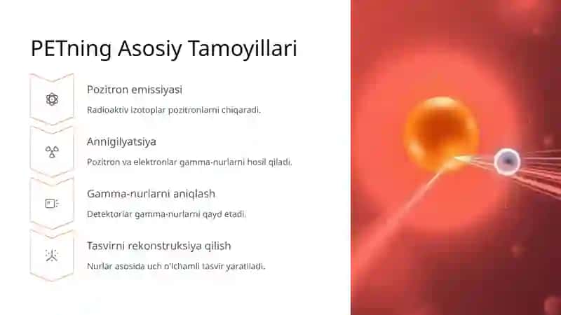 Pozitron Emission Tomografiyasi (PET) 2