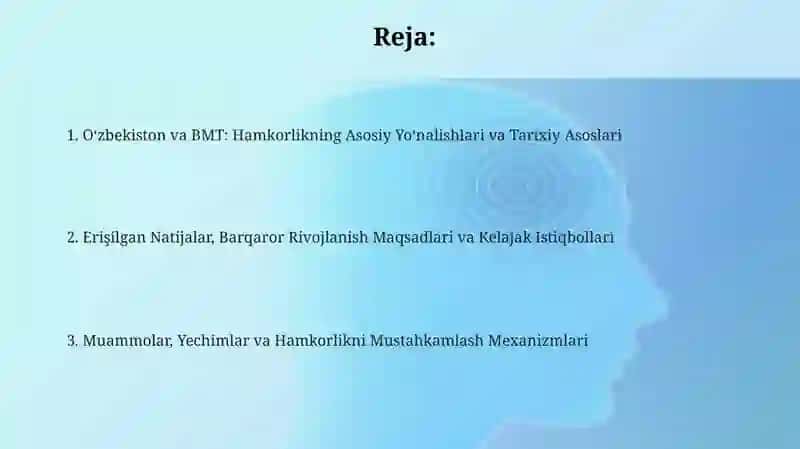 Oʻzbekistonning BMT bilan hamkorlik aloqalari 2