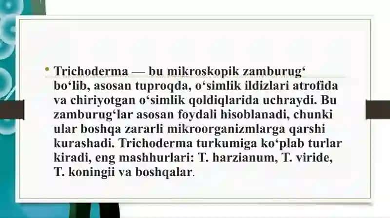 Trixoderma zambrug’i biologiyasi 2