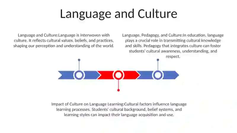 Language, Pedagogy And Culture 2