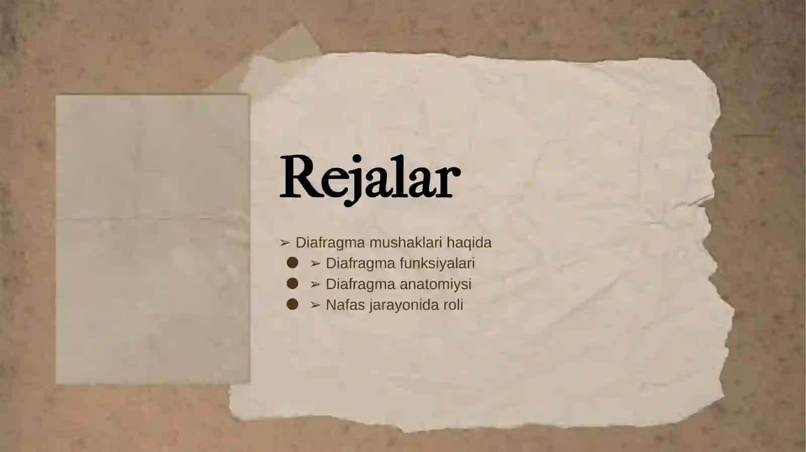 Diafragma Mushaklari Fiziologiyasi 2