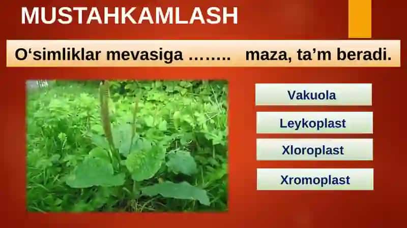 BIOLOGIYA 5-sinf MUSTAHKAMLASH 2