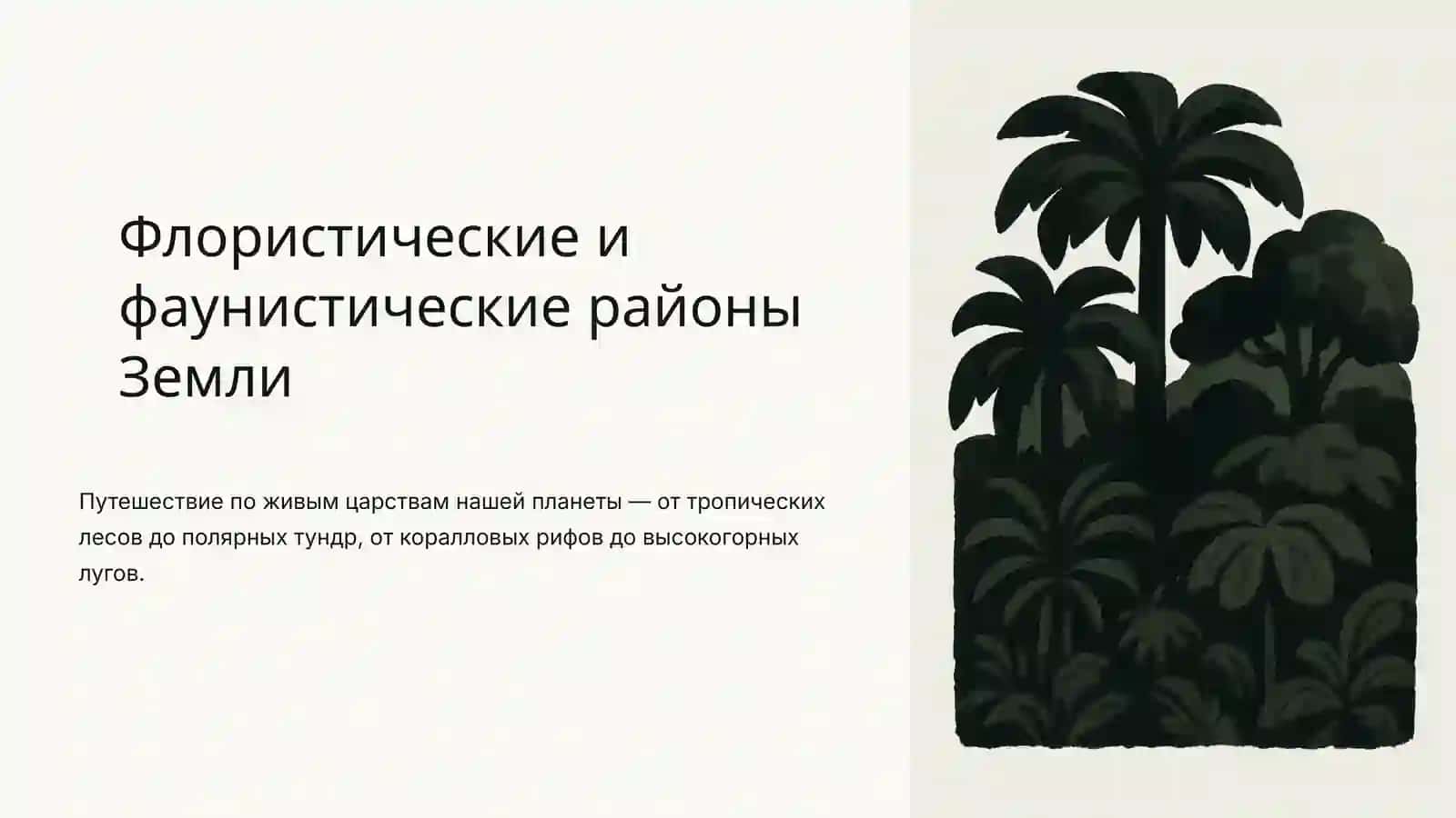Флористические и фаунистические районы Земли 2