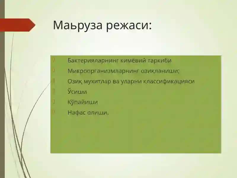Бактерияларнингфизиологияси 2
