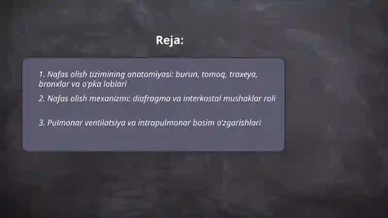 Nafas olish tizimi 2