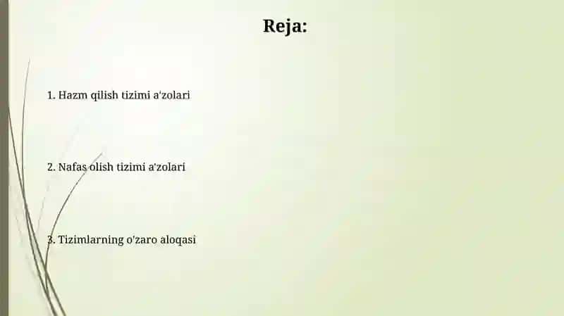 Hazm tizimi a'zolari 2