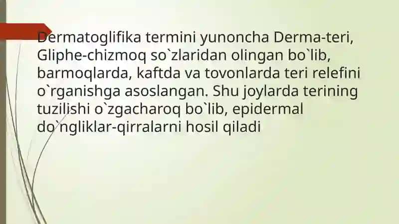 Dermatoglifika 2
