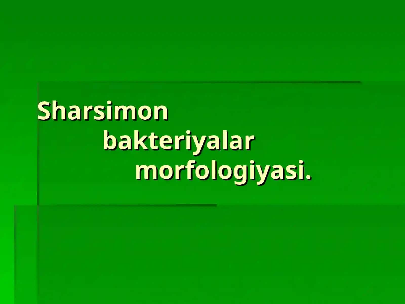 Biologiya yo’nalishi - Sharsimon bakteriyalar morfologiyasi 2