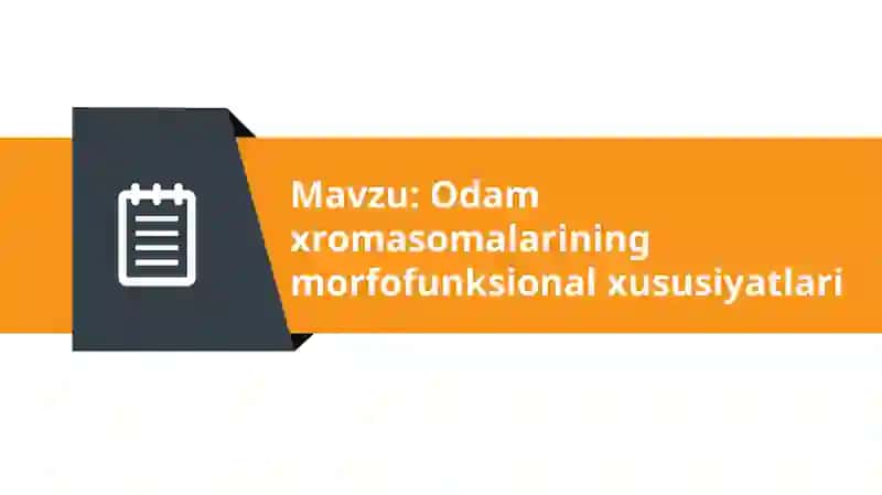 Odam xromosomalarining morfofunksional xususiyatlari 2