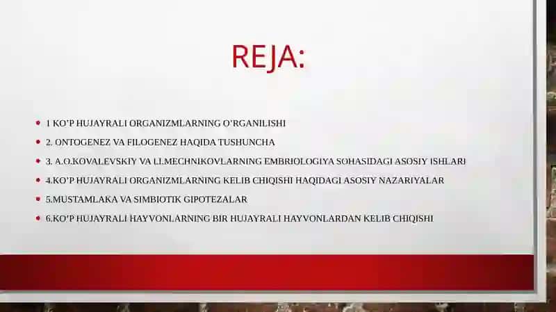 Ko'p hujayrali hayvonlarning kelib chiqish nazariyasi 2