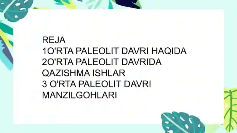 O'RTAPALEOLITDAVRIMANZILGOHLARI 2