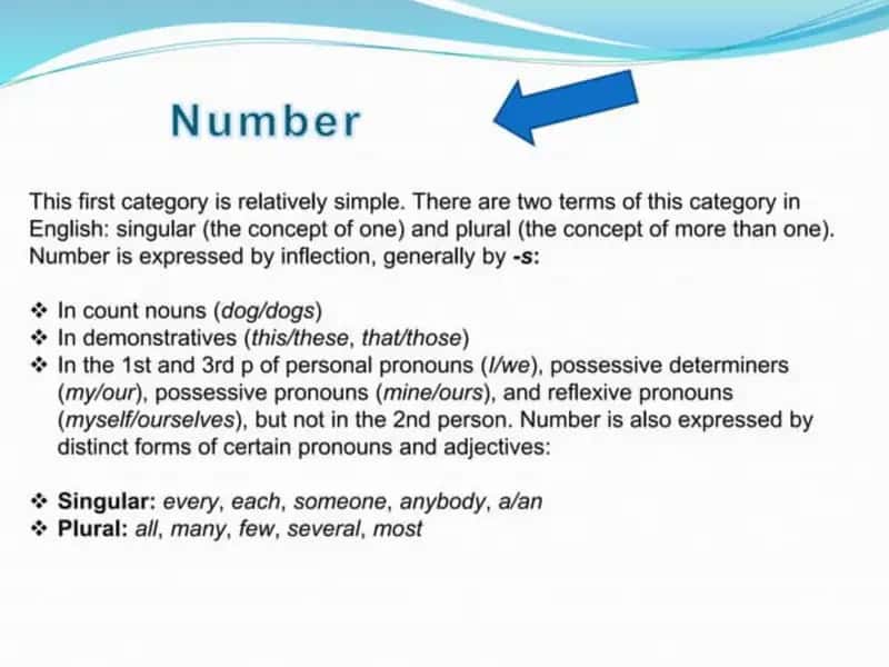Grammatical Categories 2