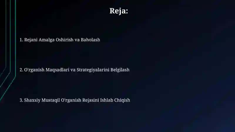 Mustaqil ta'lim uchun shaxsiy reja tuzish 2