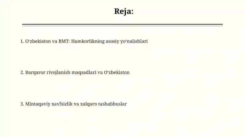 O'zbekiston va BMT: Hamkorlik Tarixi va Asosiy Yo'nalishlar 2