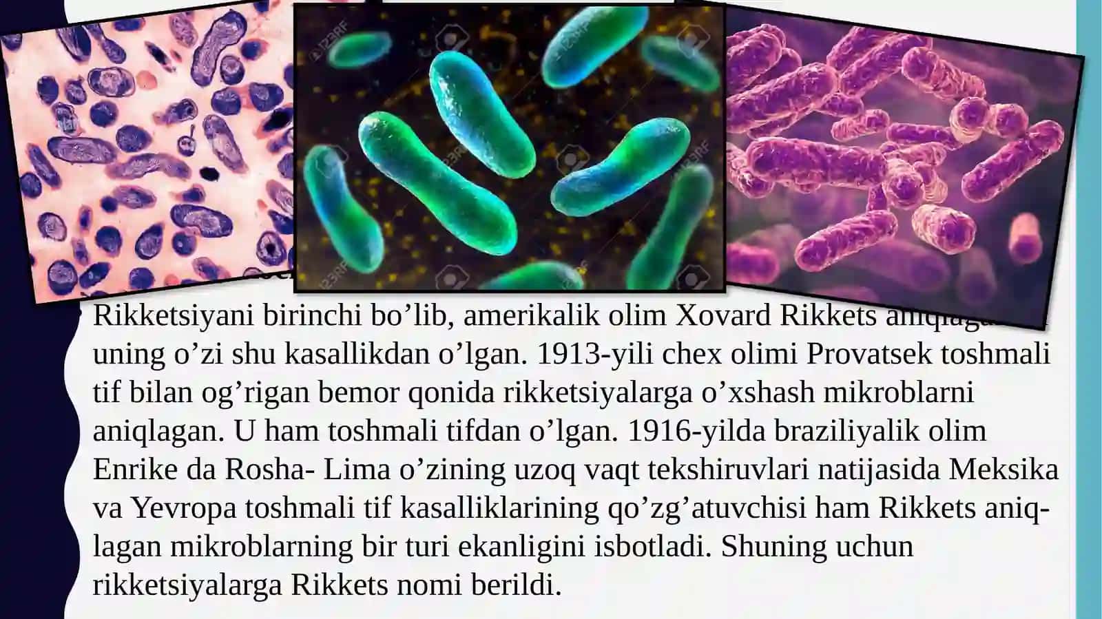 Rikketsiozlar 2