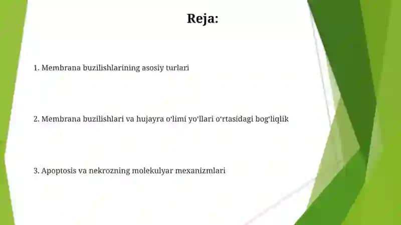 Membrana buzilishlar va apoptoz/nekroz mexanizmlari 2