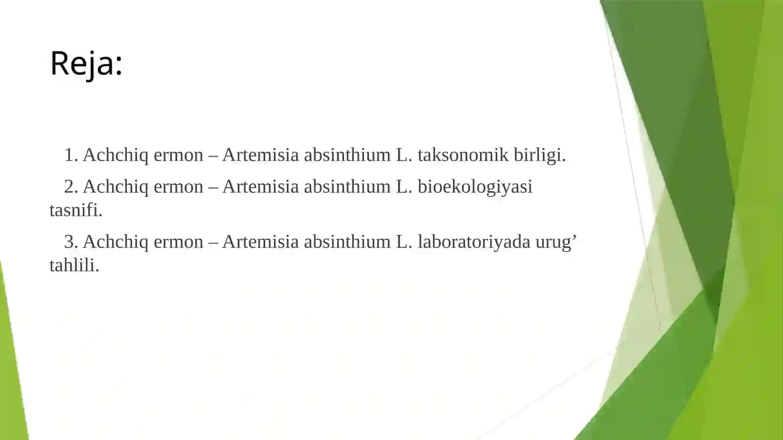 Achchiqermon(Польнгорькая) - ArtemisiaabsinthiumL.oʻsmligiurugʻinilabaratoriyatahlili 2