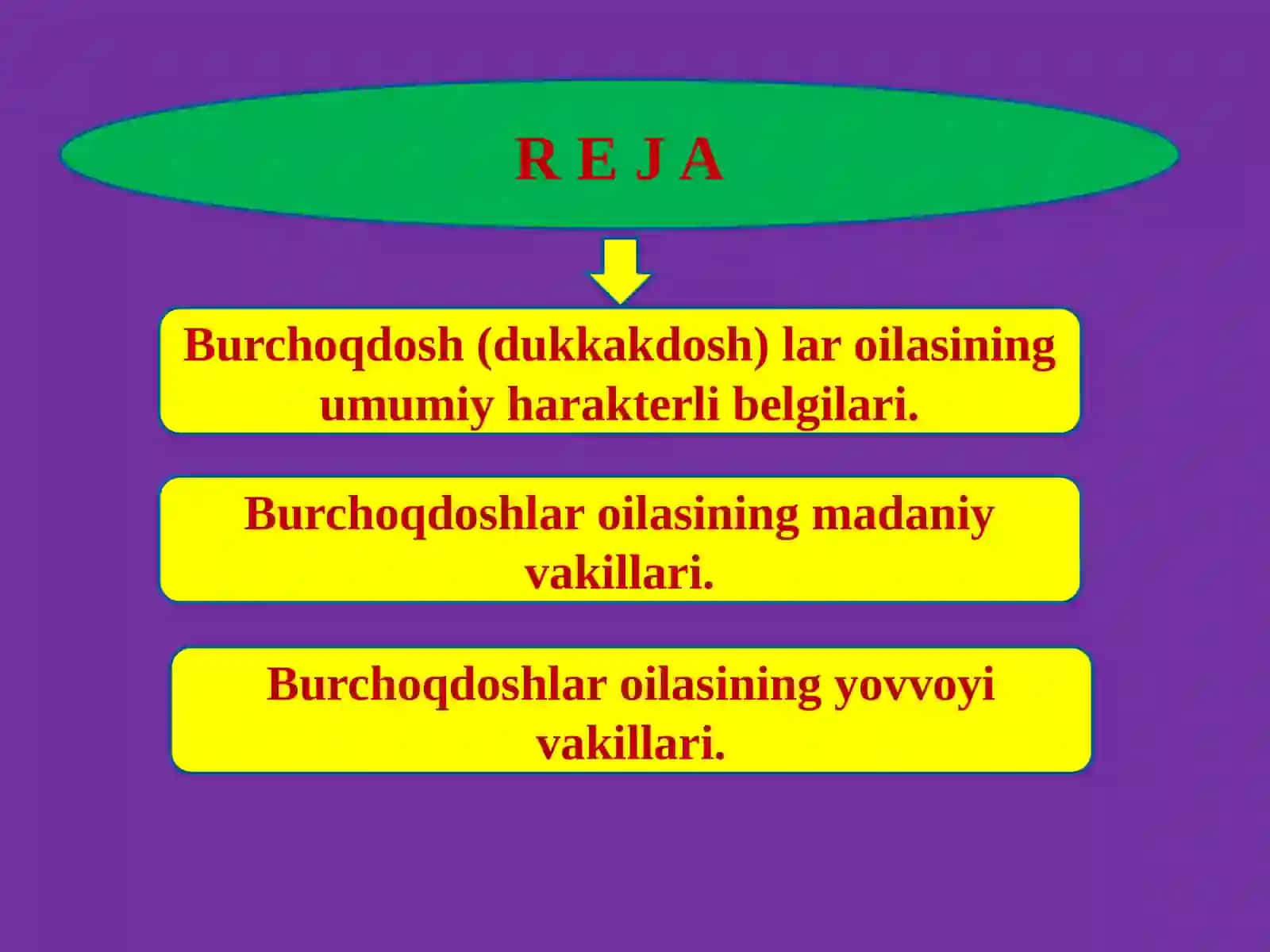 BURCHOQDOSHLAR(DUKKAKDOSH) LAROILASI 2