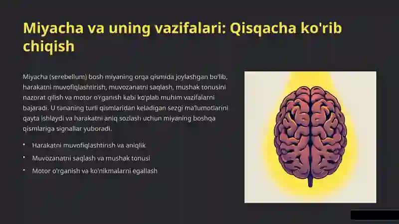 Miyachada Neyronlararo Aloqalar va Purkinye Hujayralari: Kirish 2
