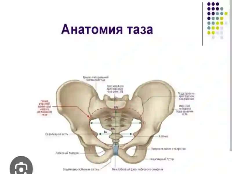 Ayollarda chanoq o'lchamlari 2