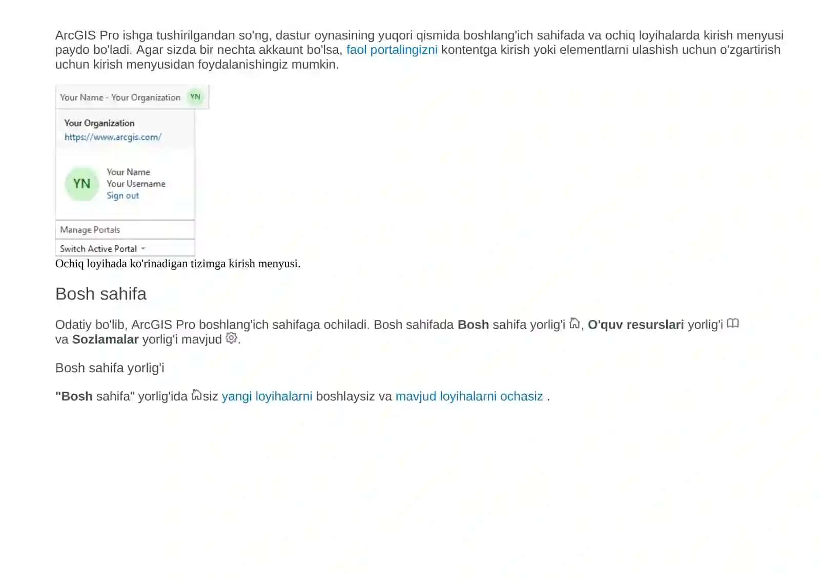 ArcGIS Pro 2