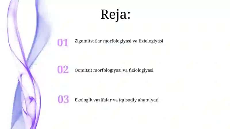 Oomitsetlar, zigomitsetlar sinflari 2