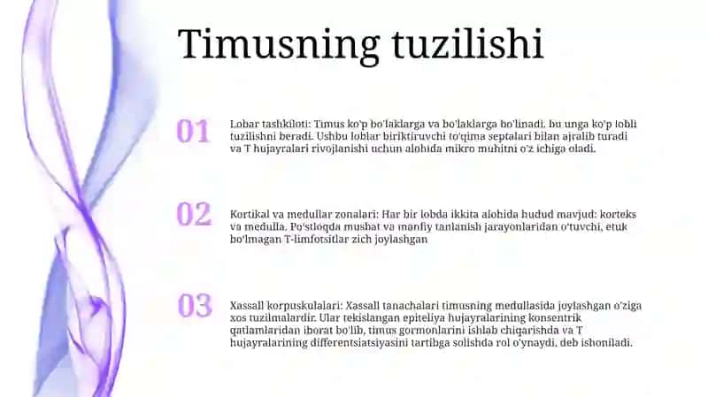 Timusdagi T Limfotsitlar Tuzilishi 2