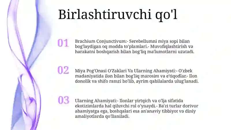 Miya Pog'Onasi O'Zaklari Va Ularning Ahamiyati 2