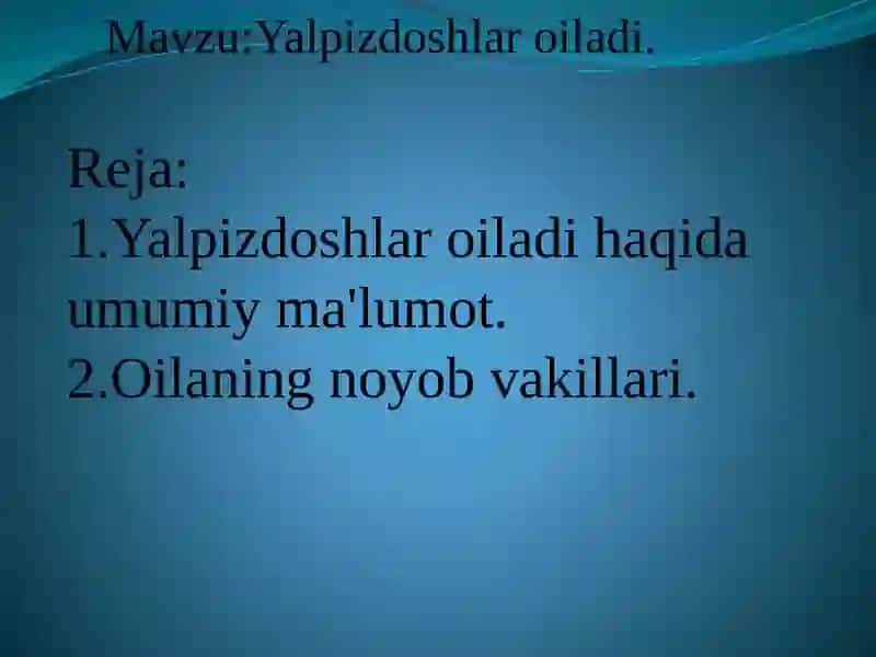 Yalpizdoshlar 2