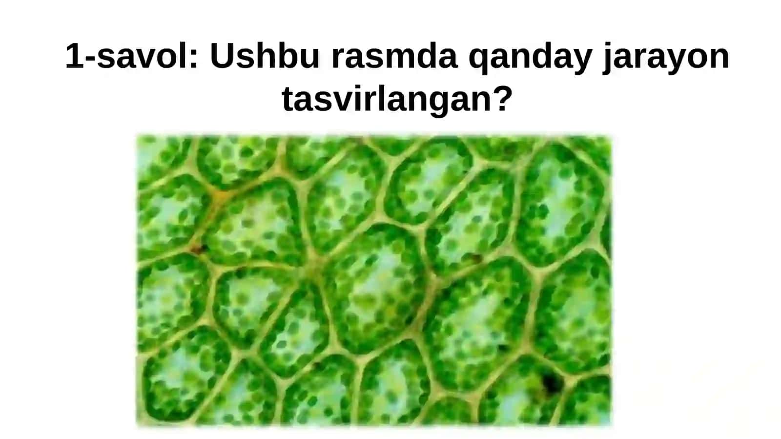 TIRIK ORGANIZMLARDAO‘Z-O‘ZINI IDORA QILISH ORGANLARI: GUMORAL VA NERV SISTEMASIEVOLUTSIYASI 2