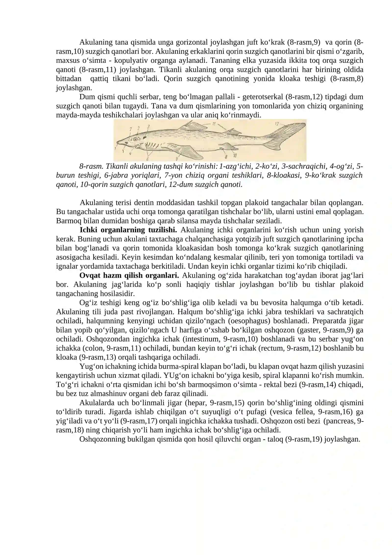 Tikanli akula-Squalus acanhias ning tashqi va ichki tuzilishi. Sistematik o’rni 2