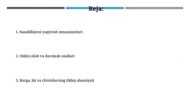 Bit Burga Suvaraklar va Pashsha Chivinlar 2