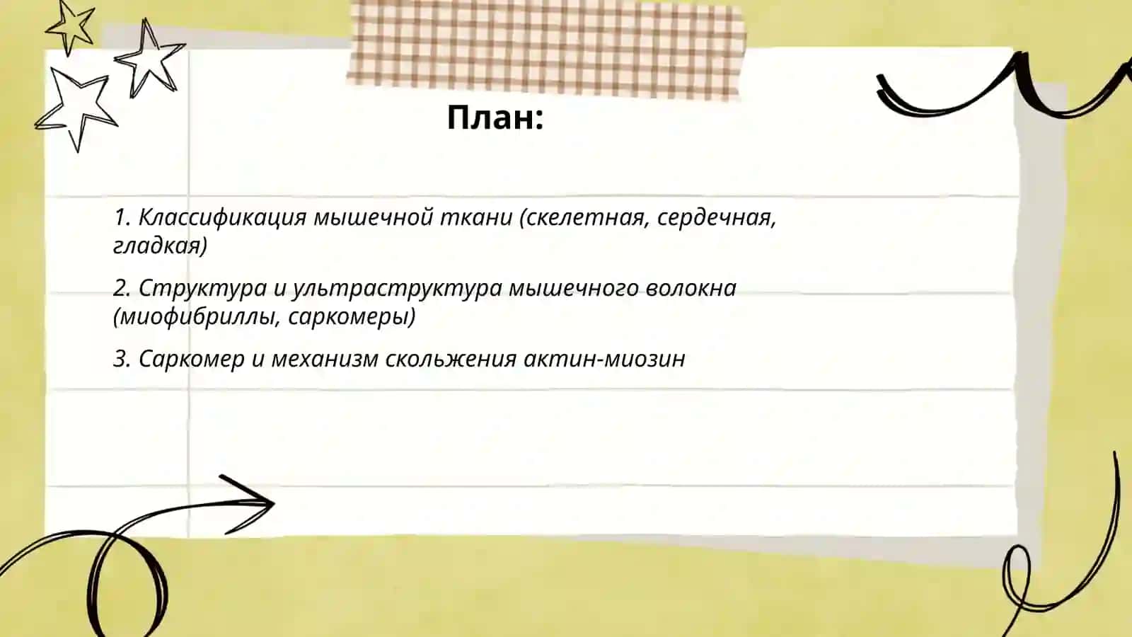 Мышечная ткань 2