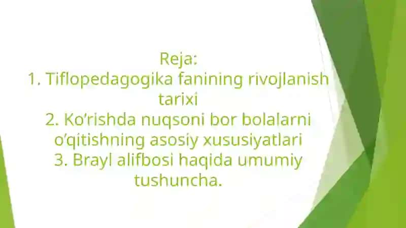 Ko’rishda  nuqsoni bor bolalar ta’limining tashkiliy shakllari 2