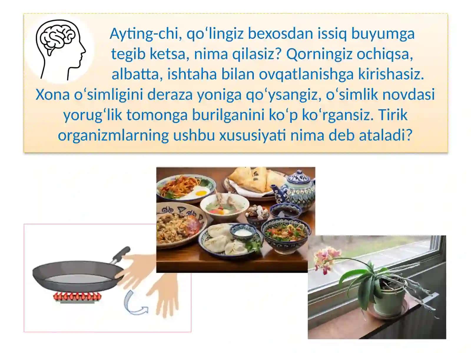MAVZU.TIRIK ORGANIZMLARNING TA’SIRLANISHI 2