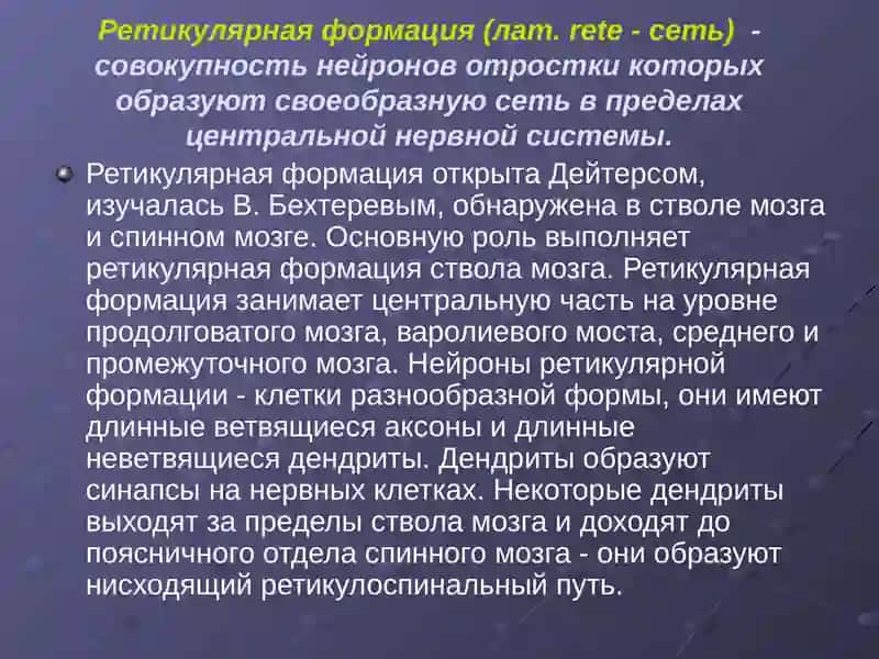 Ретикулярная формация, Лимбическая система, Лимбико-ретикулярный комплекс 2