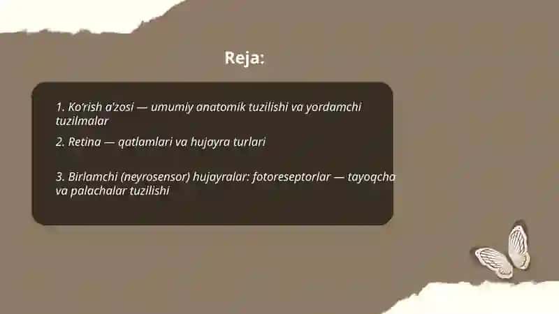 Ko‘rish a’zosi va xid bilish Analizatorlarning umumiy tavsifi, birlamchi (neyrosensor) va ikkilamchi (epiteliosensor) hujayralar 2
