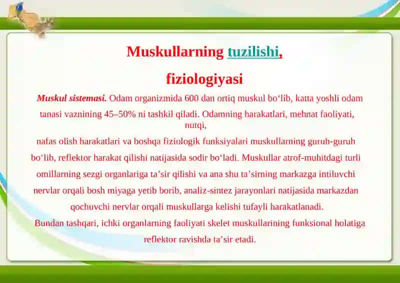 Muskullarning tuzilishi, Fiziologiyasi 2