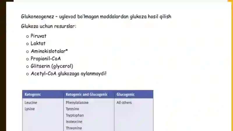 Glyukoneogenez 2