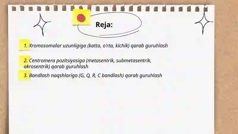 Odam kariotipidagi xromasomalar va genom strukturasiga qarab ularni guruhlarga ajratish 2