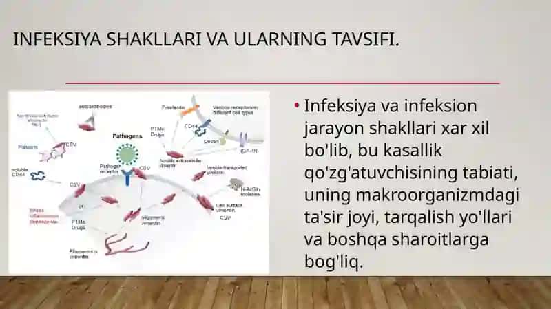 INFEKSIYALAR KO’P QIRRALI SHAKINLANISHINI BELGILAYDIGAN OMILLAR 2