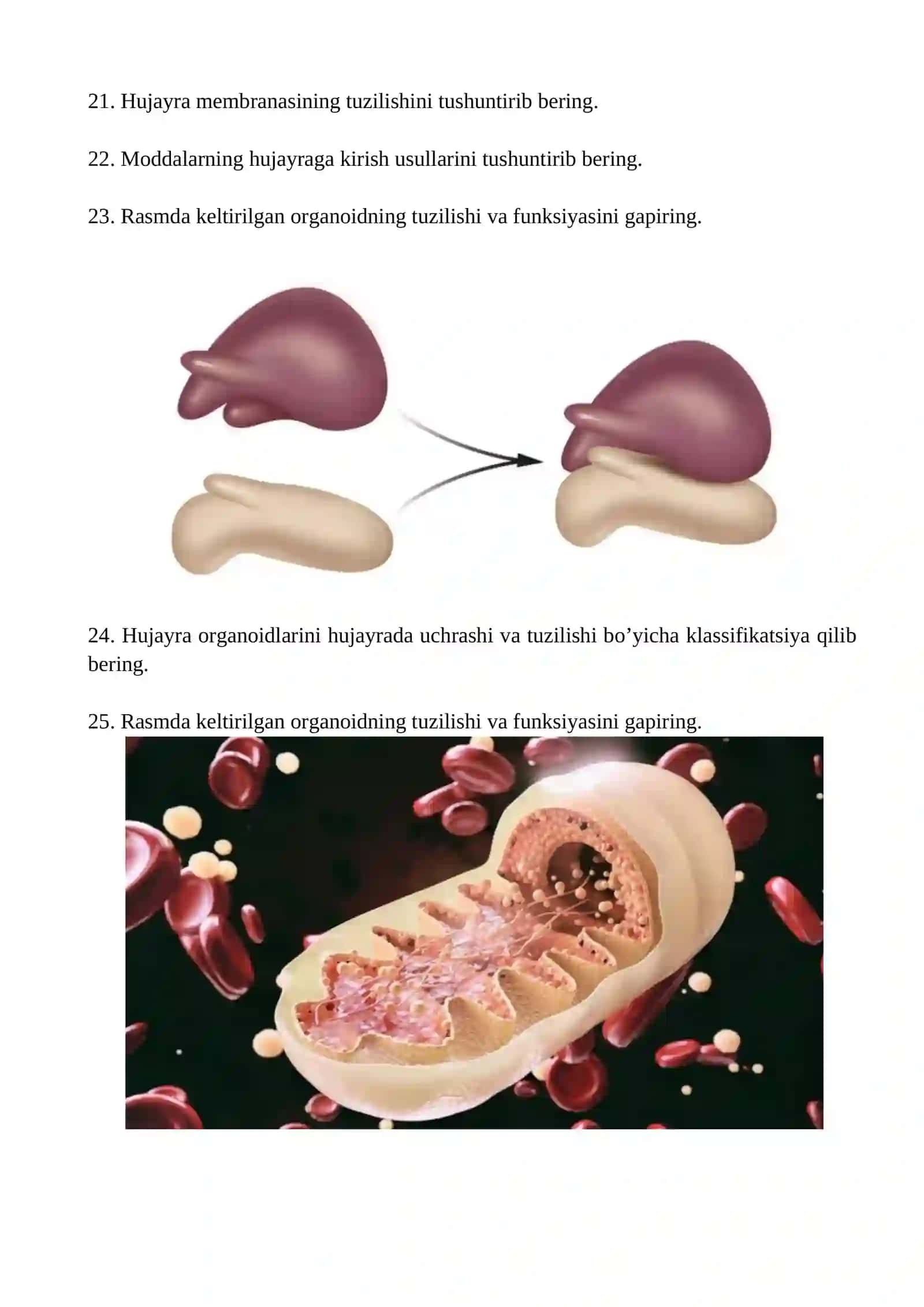 Karl Berningning tibbiyotga qo’shgan hissalarini gapirib bering 2