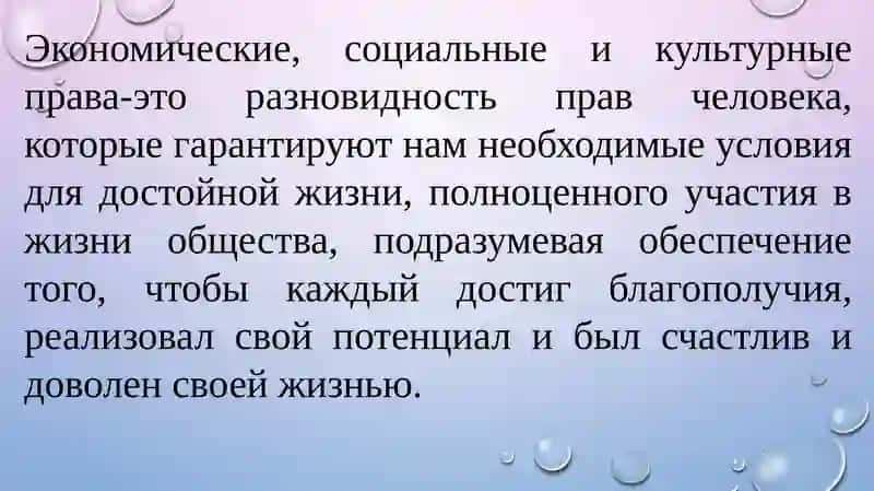 Экономические, социальные, культурные и экологические права 2