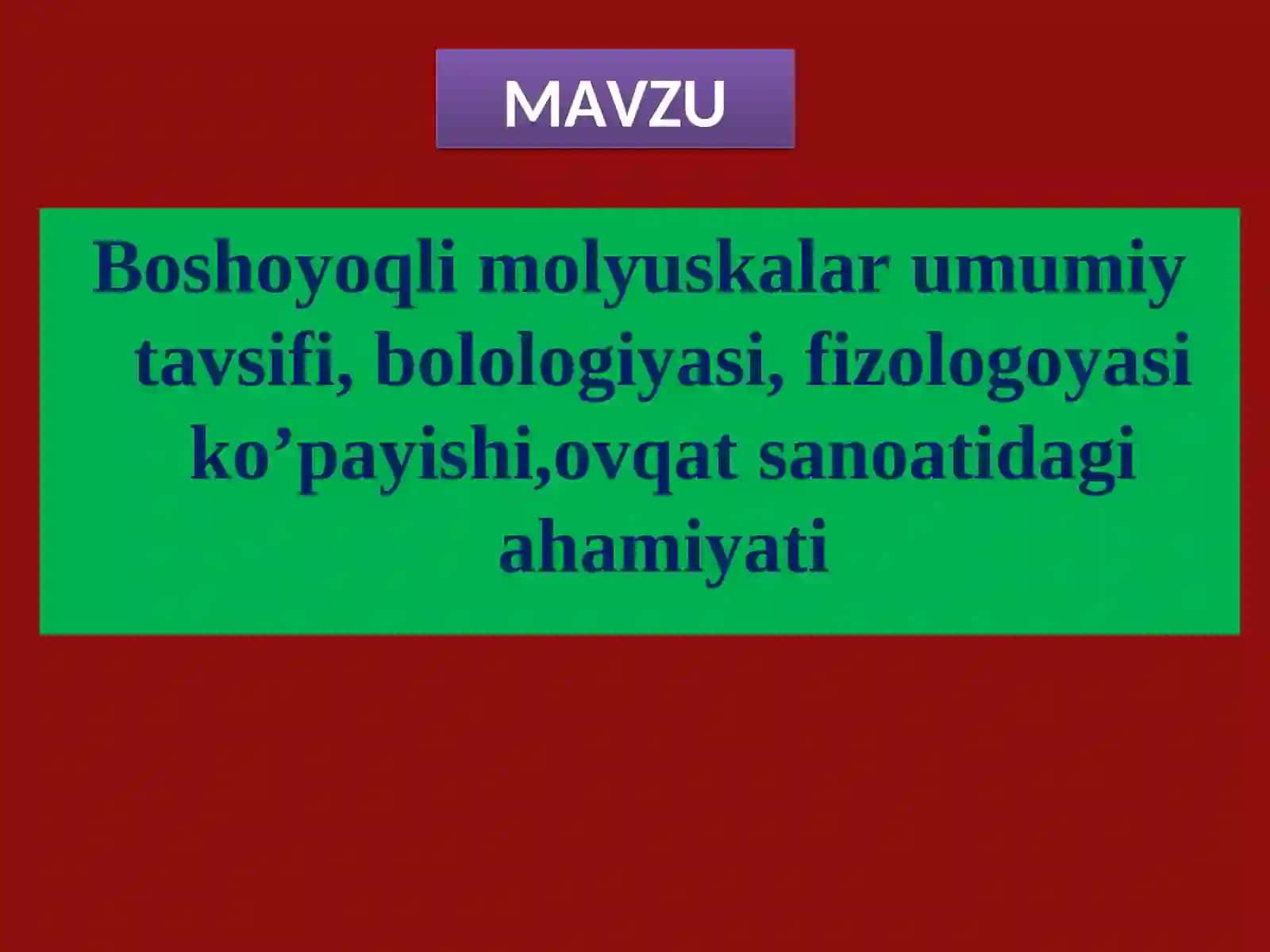 Boshoyoqlilar(Cephalopoda)sinfining tashqi tuzulishi 2